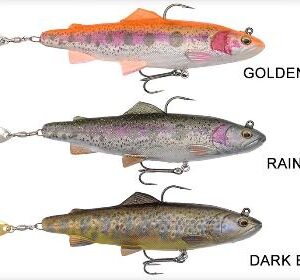 4D SPIN SHAD TROUT