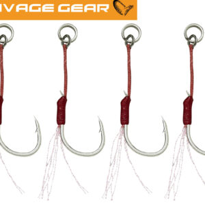 MICRO ASSIST HOOKS