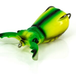 SUPERNATO BEETLE
