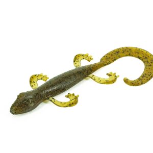 LIZARD