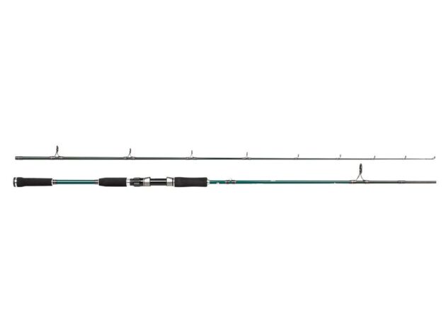 BEAST X SPINNING ROD
