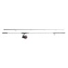Mitchell Catch Pro Carp Combo