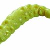 POWERBAIT POWER HONEY WORM - immagine 4