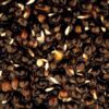 OILY HEMP - immagine 3