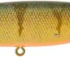 illex-arnaud-100-aggressive-perch