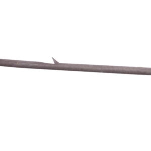 Anaconda Boilie Spike