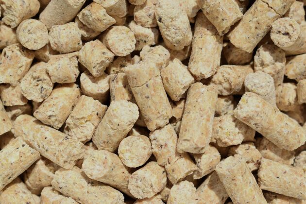 Carp Frenzy pellet di germe di mais