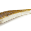 RT SHAD 4" SLIM - immagine 3
