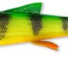 3D WHITEFISH SHAD - immagine 6