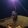 BUCKET LIGHT - immagine 4