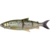 3D LINE THRU WHITEFISH - immagine 2