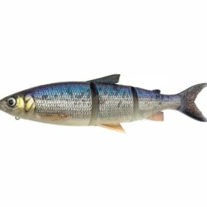 3D LINE THRU WHITEFISH